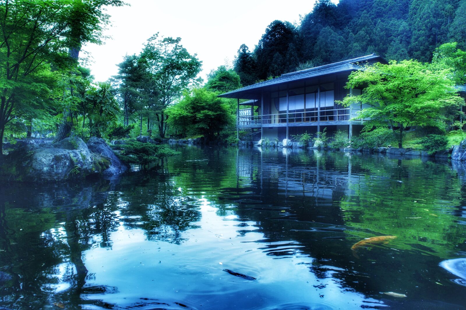 Pentax K-3 sample photo. Japan, japan garden, pond photography