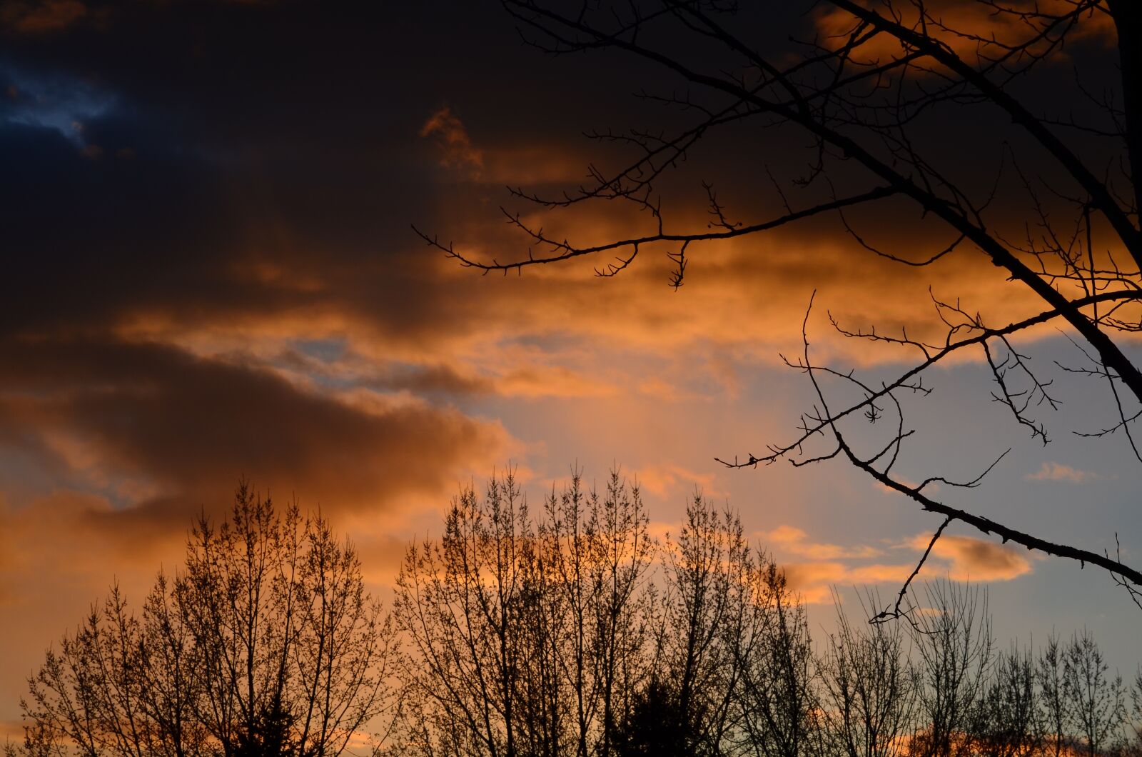 Nikon D5100 sample photo. Sunset, storm, trees photography