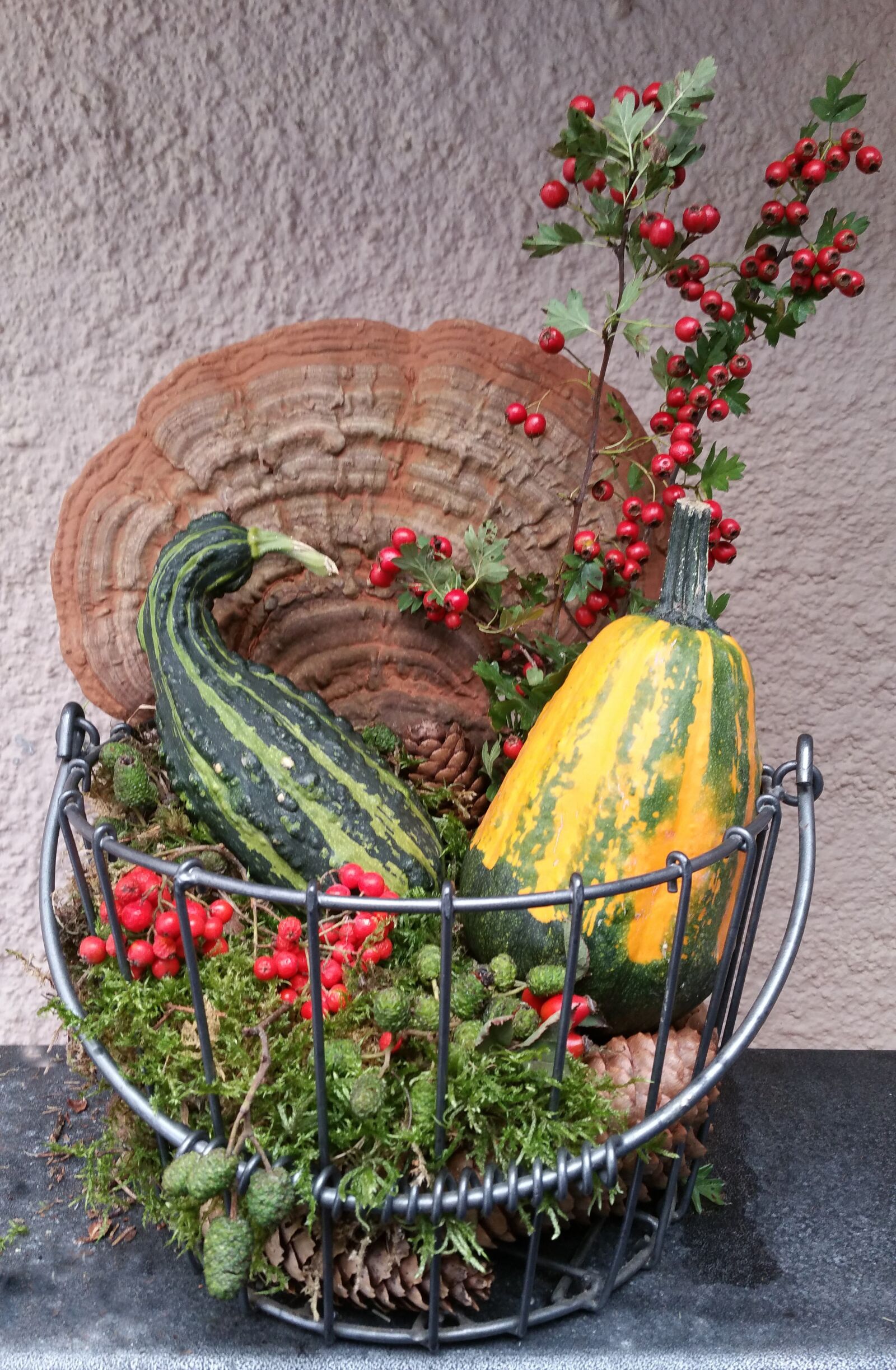 Samsung Galaxy S5 LTE-A sample photo. Autumn decoration, pumpkins, mushrooms photography