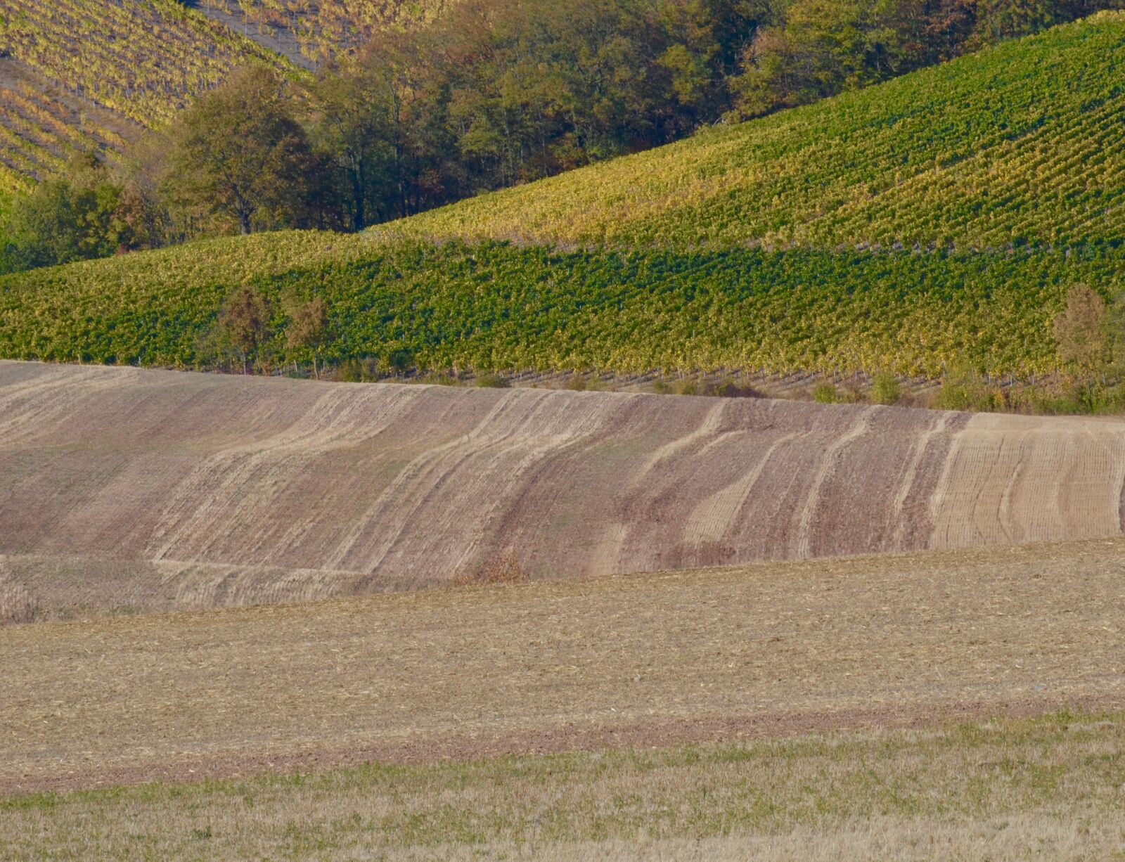 Nikon D5100 sample photo. Fields, agriculture, landscape photography