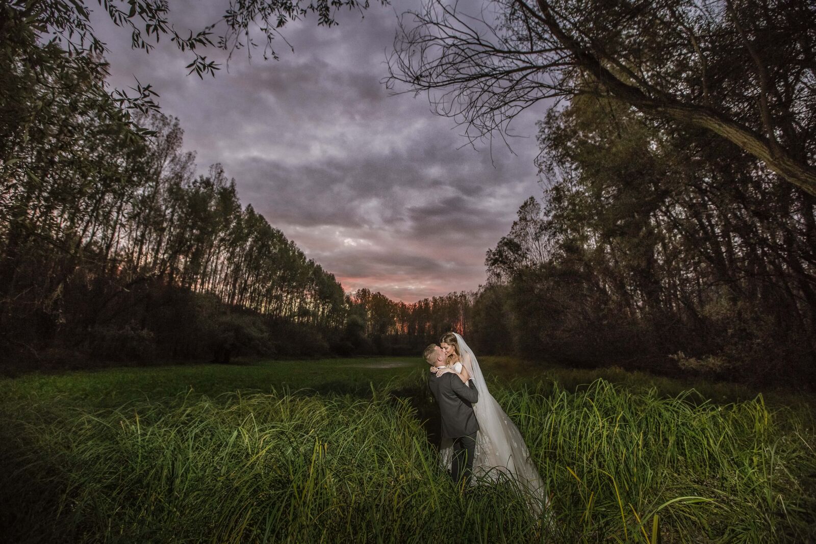 Canon EOS 6D + Canon EF 16-35mm F2.8L II USM sample photo. Wilderness, forest, dusk, bride photography