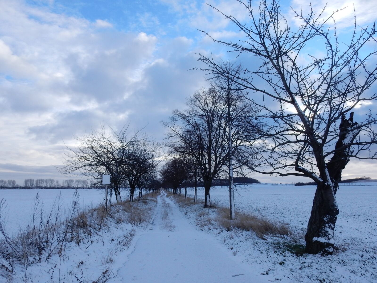 Nikon Coolpix S9900 sample photo. Winter, snow, blue sky photography
