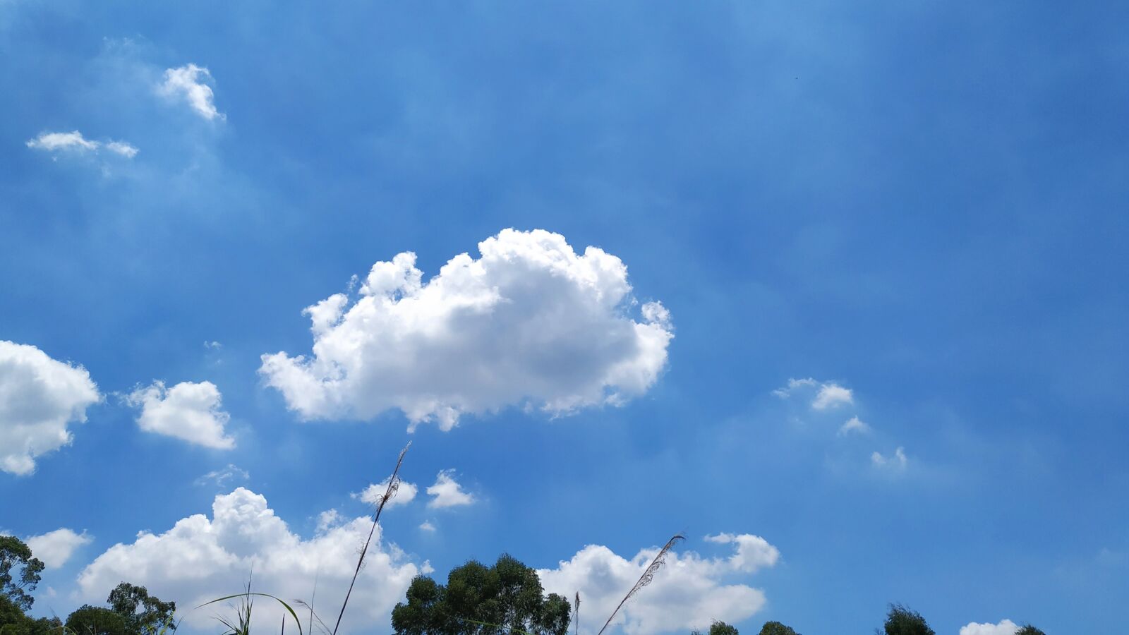 Xiaomi MI 6X sample photo. Cloud, blue, sunny days photography