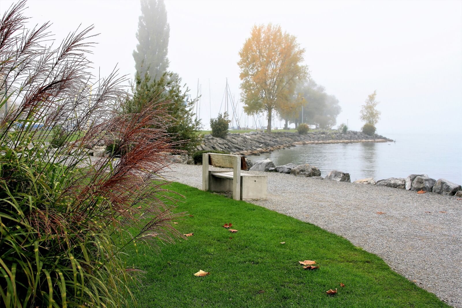 Canon EOS 400D (EOS Digital Rebel XTi / EOS Kiss Digital X) sample photo. Bench, lake, autumn photography
