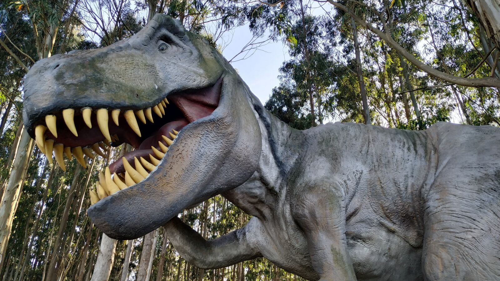 Xiaomi Mi A2 sample photo. Tyrannosaurus, t-rex, dinosaur photography