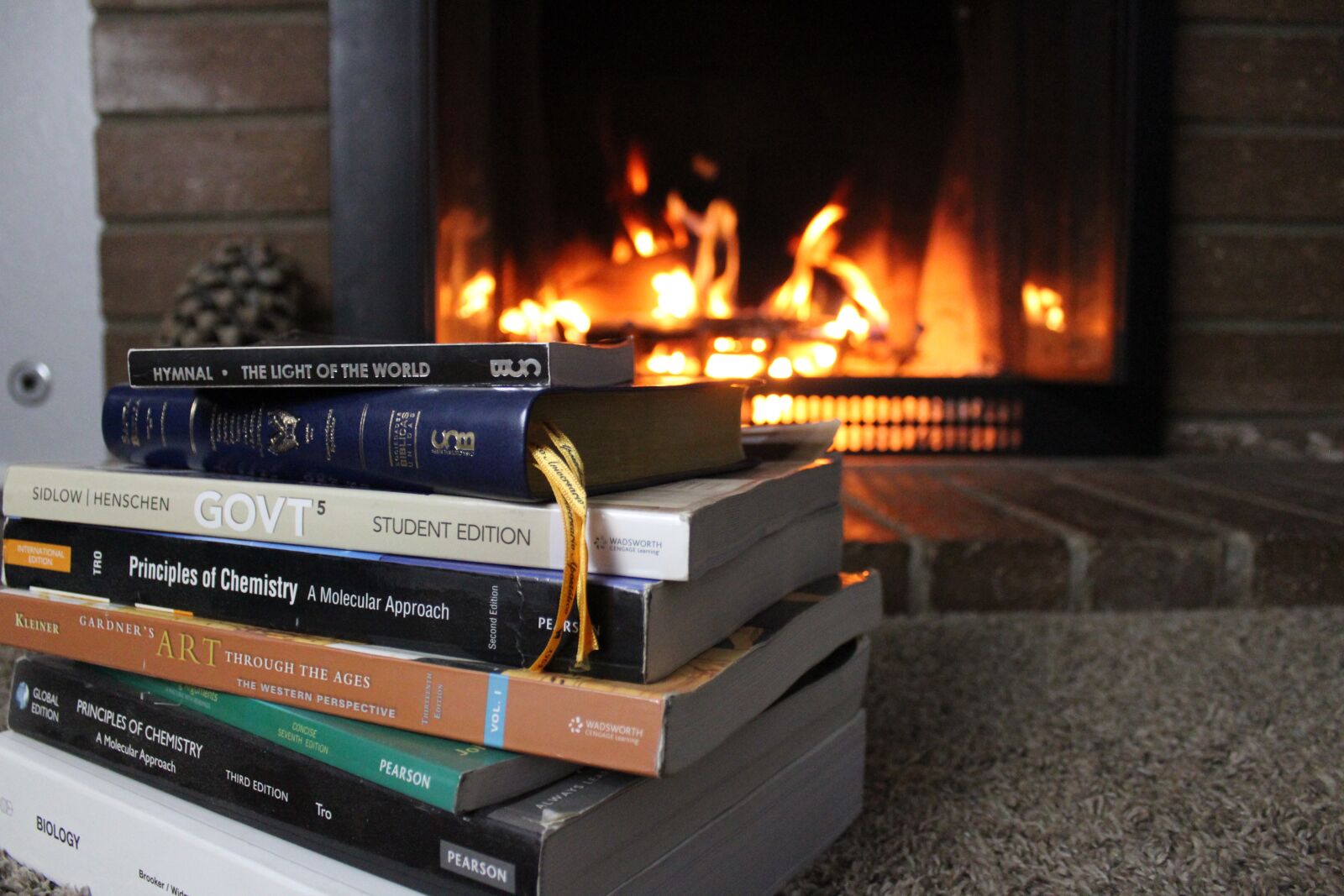 Canon EOS 1300D (EOS Rebel T6 / EOS Kiss X80) sample photo. Heat, fireplace, flame photography