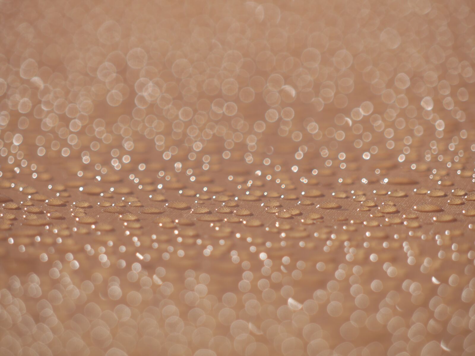 Panasonic Lumix DMC-GH3 sample photo. Condensation, droplets, water photography