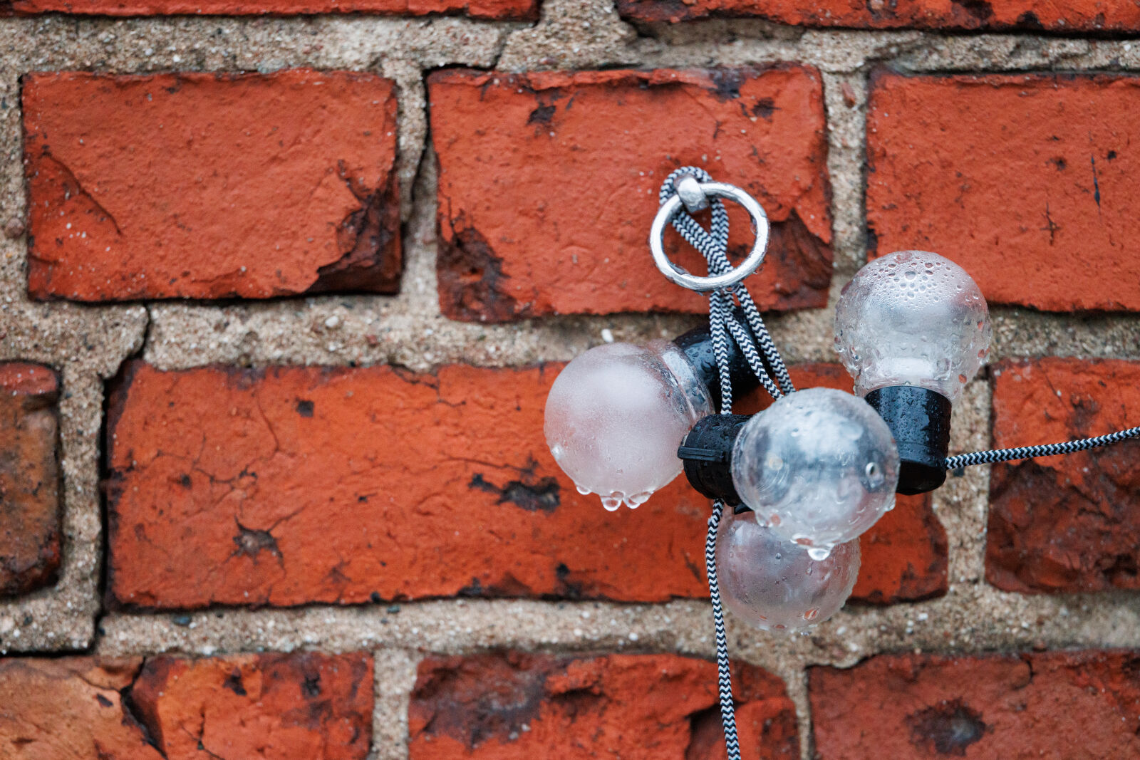 Canon EOS R5 sample photo. Lightbulb wall photography