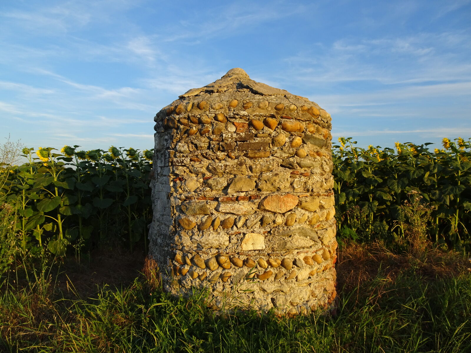 Sony Cyber-shot DSC-HX90V sample photo. Golden, hour, well photography