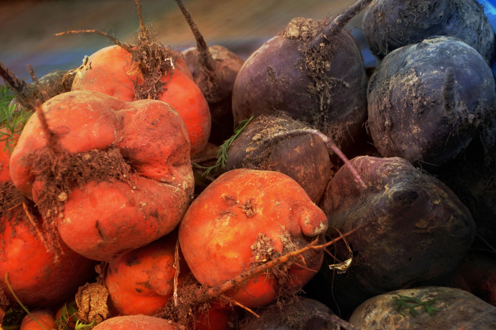 Nikon D3200 sample photo. Beets, vegetables, vitamins photography