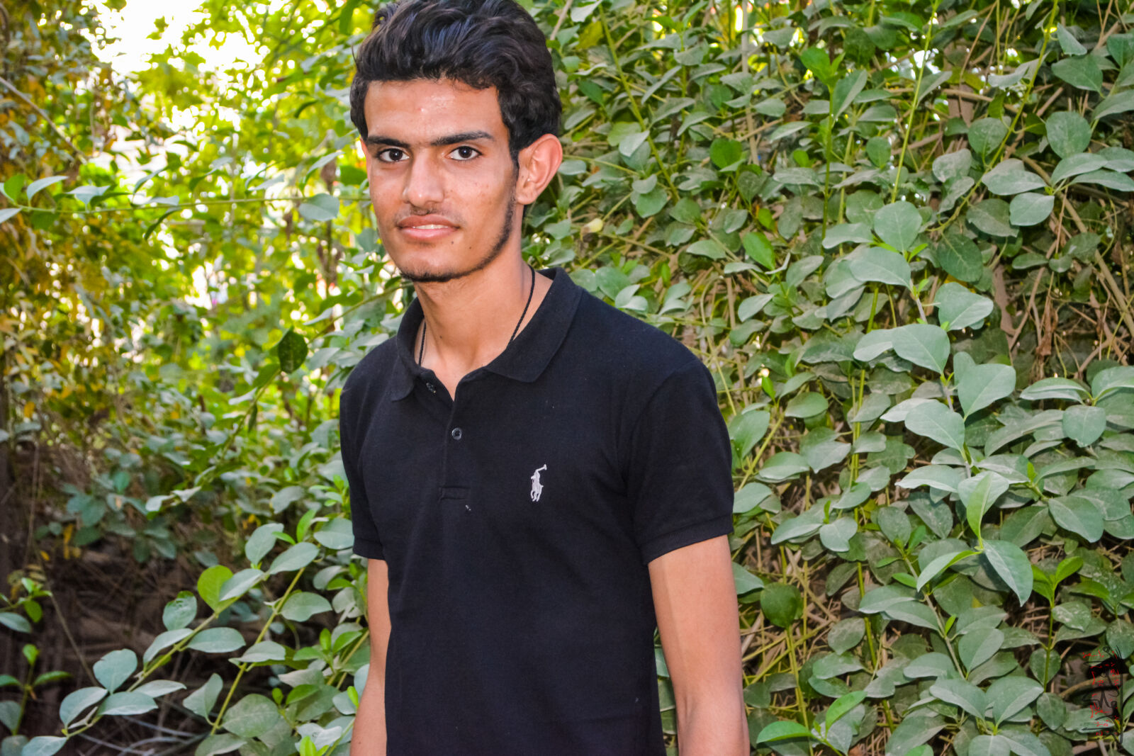Nikon D5200 sample photo