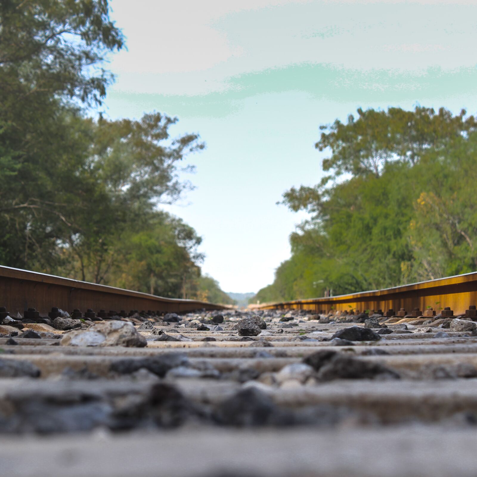 Canon EOS 1300D (EOS Rebel T6 / EOS Kiss X80) sample photo. Train, vias, field photography