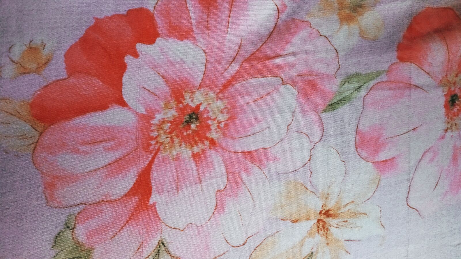 Xiaomi Redmi Note 7S sample photo. Flowers, painting, creativity photography