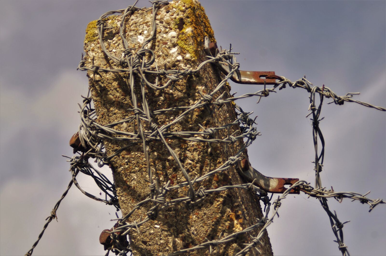 Pentax K-x sample photo. Barbed wire, post, fence photography