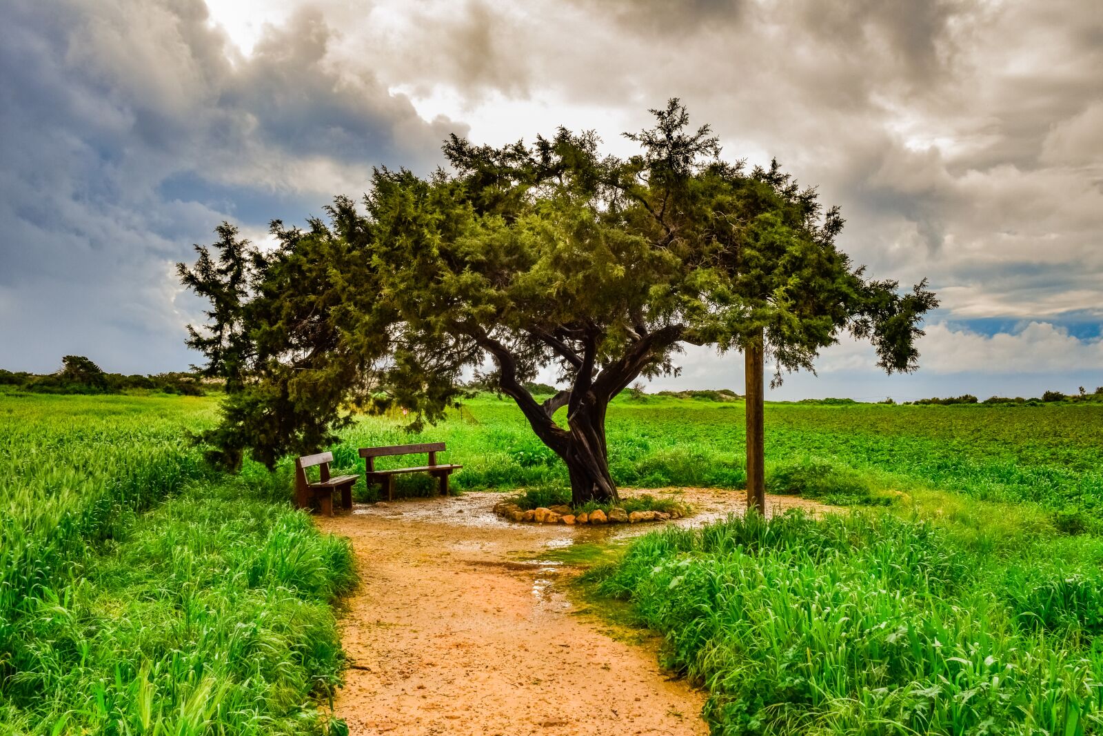 Nikon D3300 sample photo. Tree, landscape, nature photography