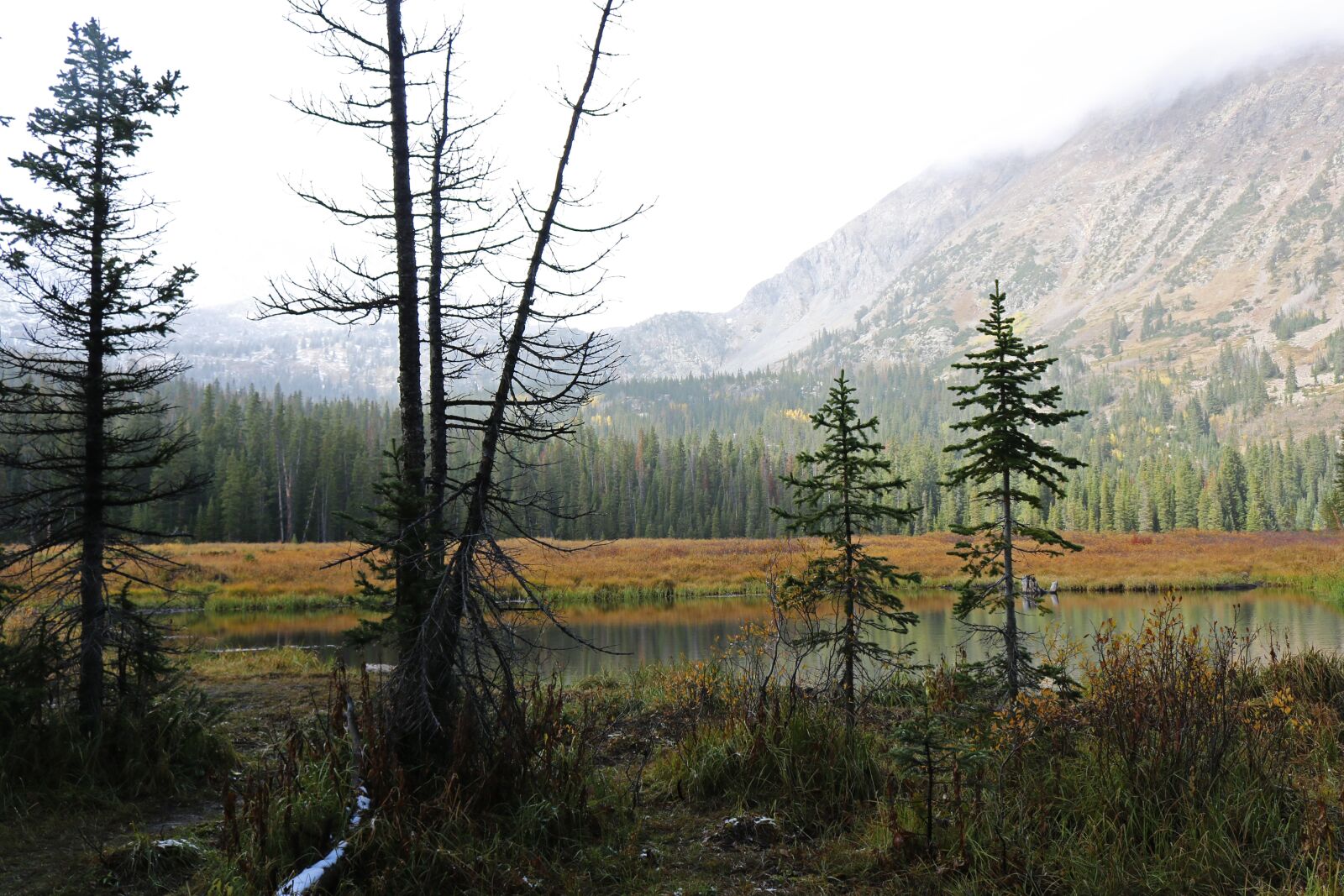 Canon EOS 750D (EOS Rebel T6i / EOS Kiss X8i) sample photo. Landscape, misty, autumn photography