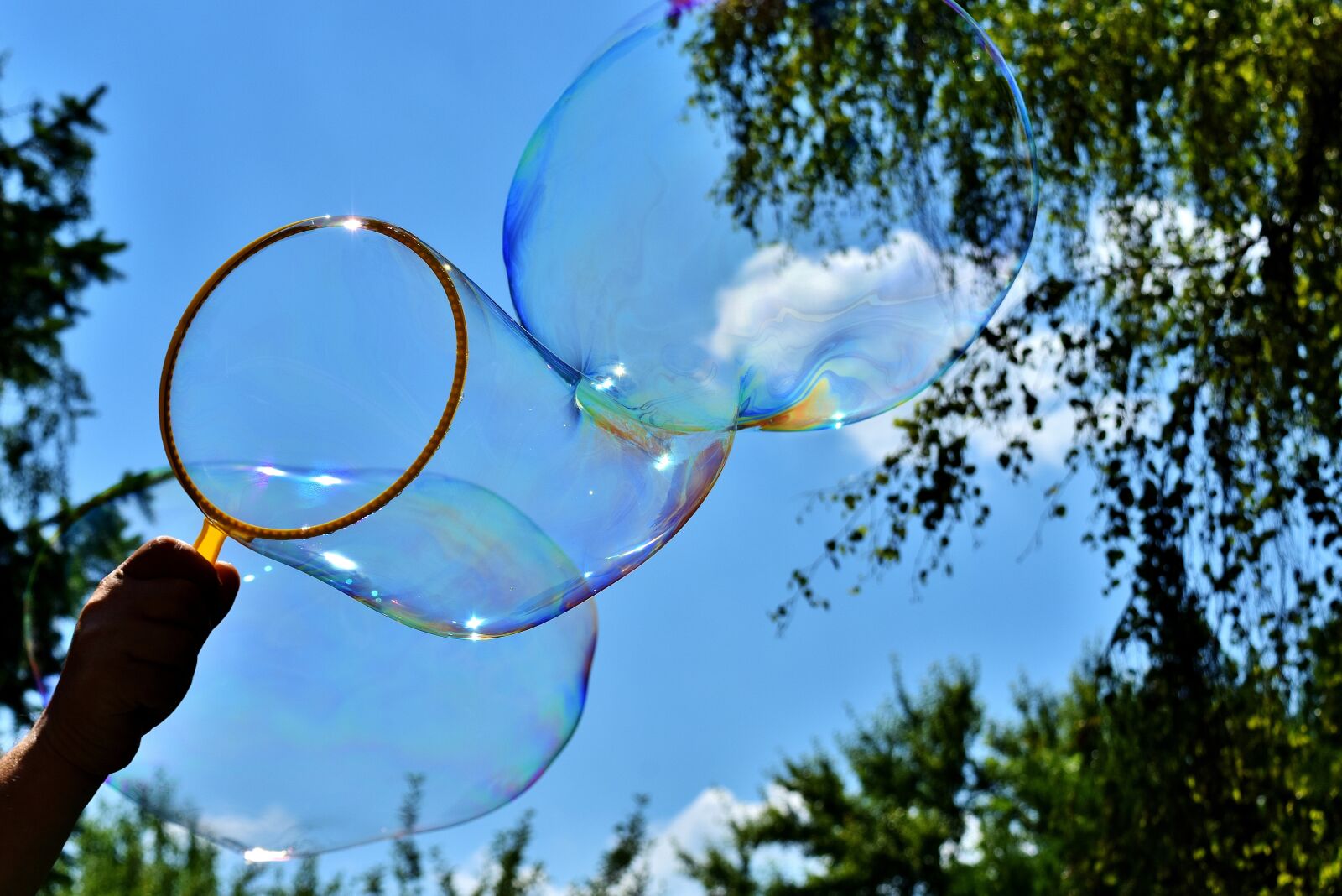 Nikon D7200 sample photo. Soap bubble, huge, large photography