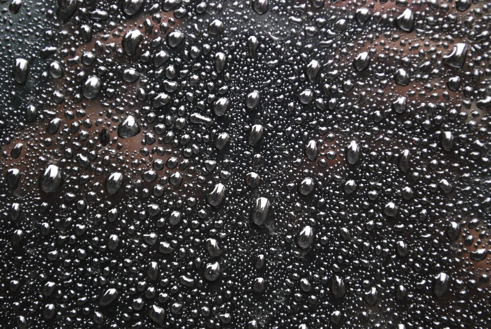 Nikon D60 sample photo. Water, drops, moisture photography