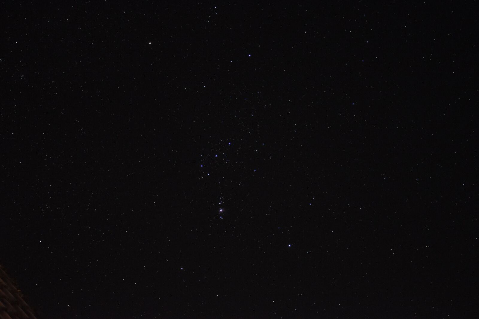 Nikon D5500 sample photo. Orion, constellation, hunter photography