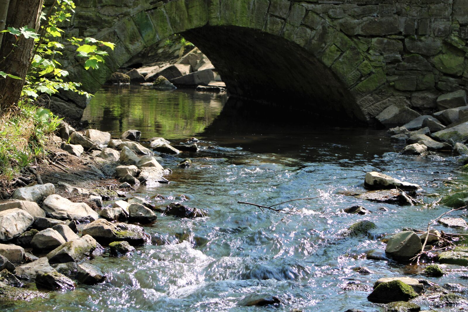 Canon EOS 2000D (EOS Rebel T7 / EOS Kiss X90 / EOS 1500D) sample photo. Bach, water, soft photography