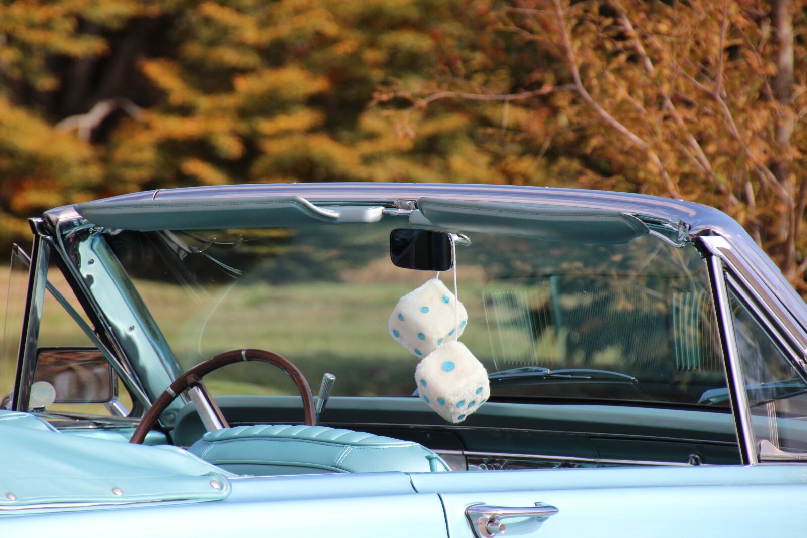 Canon EOS 600D (Rebel EOS T3i / EOS Kiss X5) sample photo. Fuzzy dice, car, vehicle photography