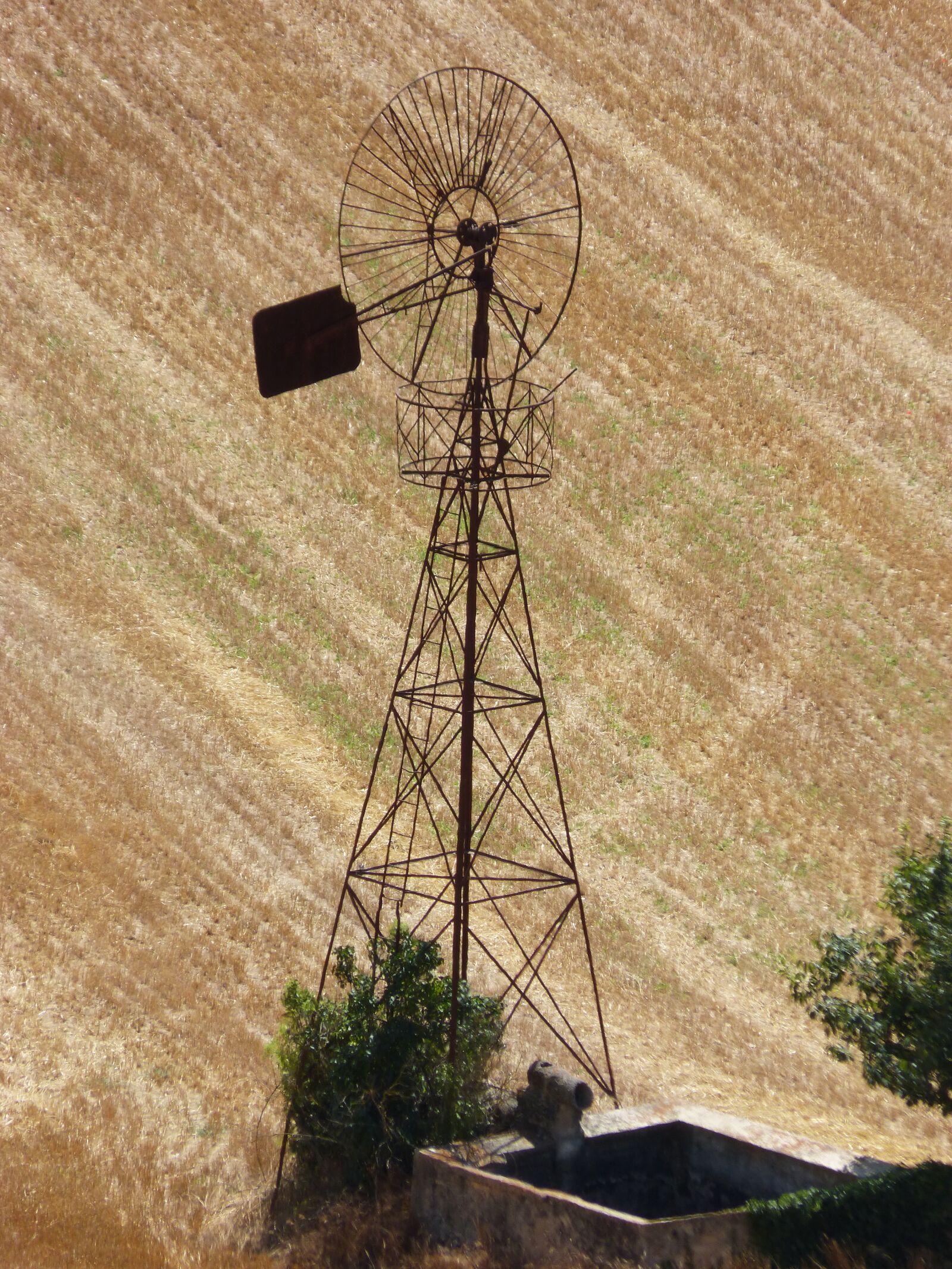 Panasonic DMC-FZ62 sample photo. Mill, cornfield, field photography