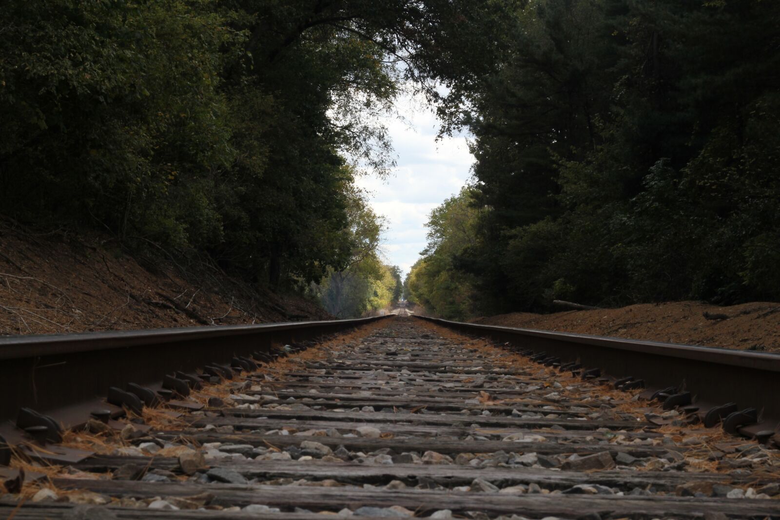 Canon EOS 550D (EOS Rebel T2i / EOS Kiss X4) sample photo. Railroad, scenic, background photography