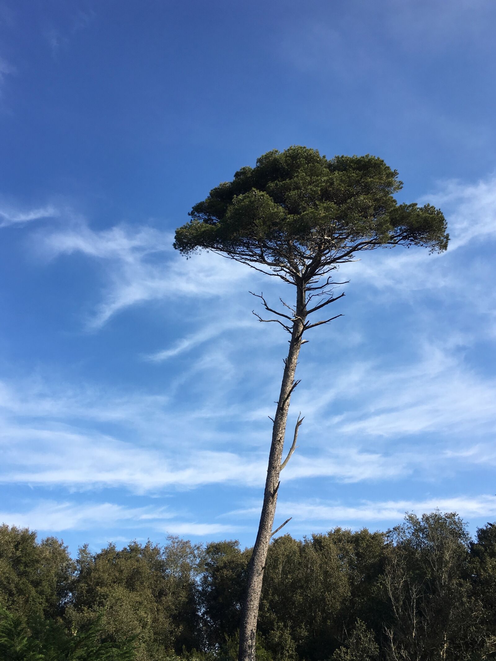 Apple iPhone 6s sample photo. South, france, southern france photography