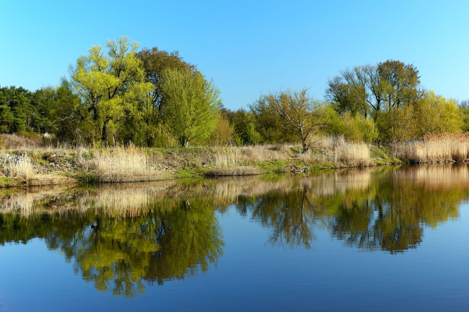 Nikon D3200 sample photo. Bank, river landscape, shore photography