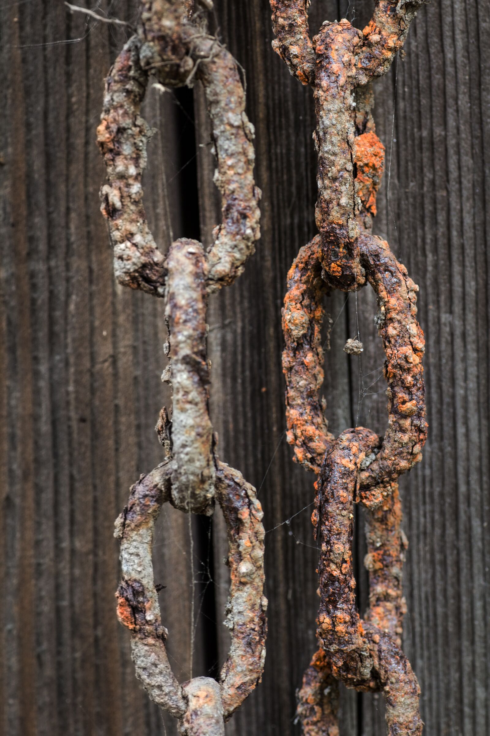 Canon EOS 600D (Rebel EOS T3i / EOS Kiss X5) sample photo. Wood, chain, rust photography