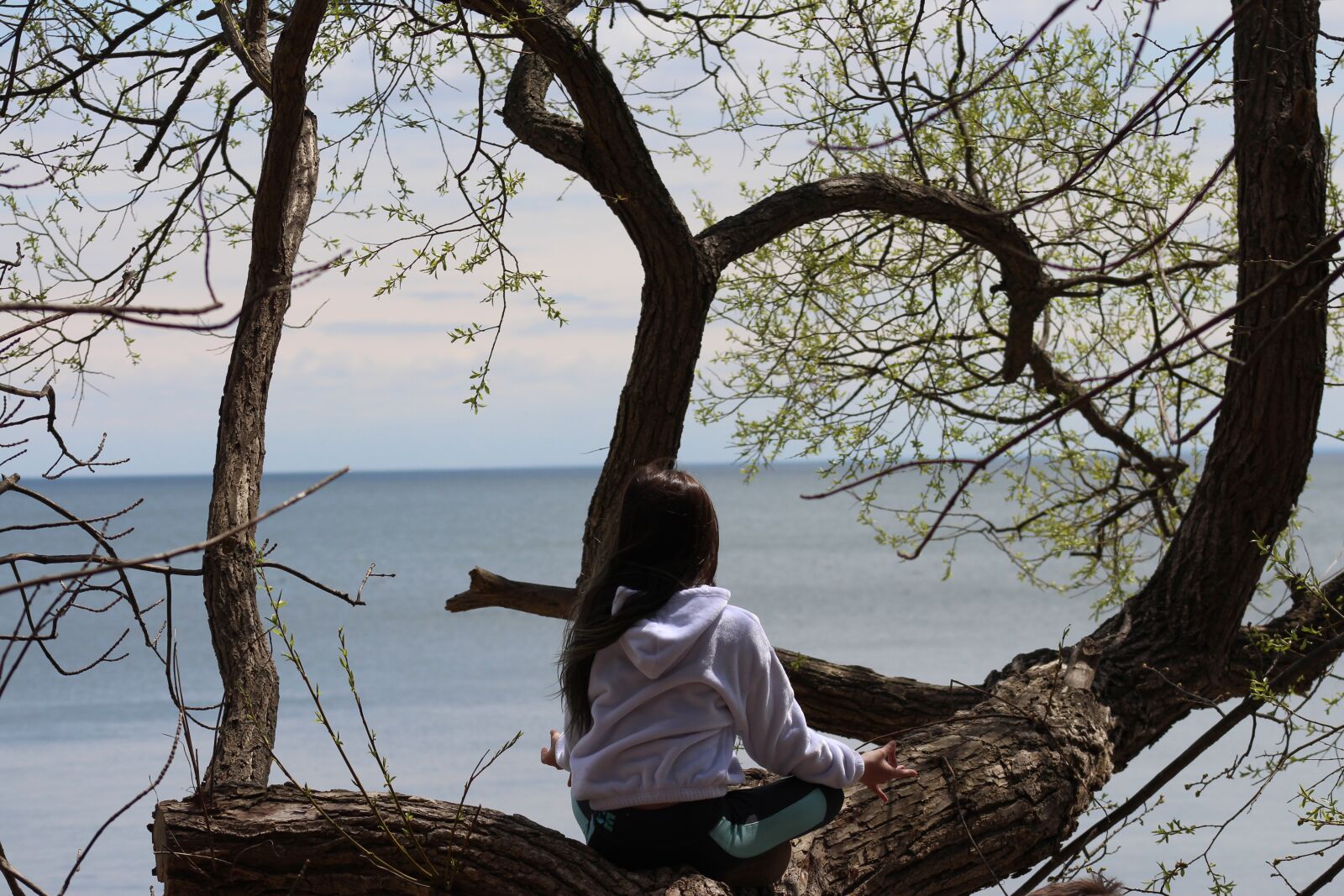 Canon EOS 700D (EOS Rebel T5i / EOS Kiss X7i) sample photo. Nature, meditation, landscape photography