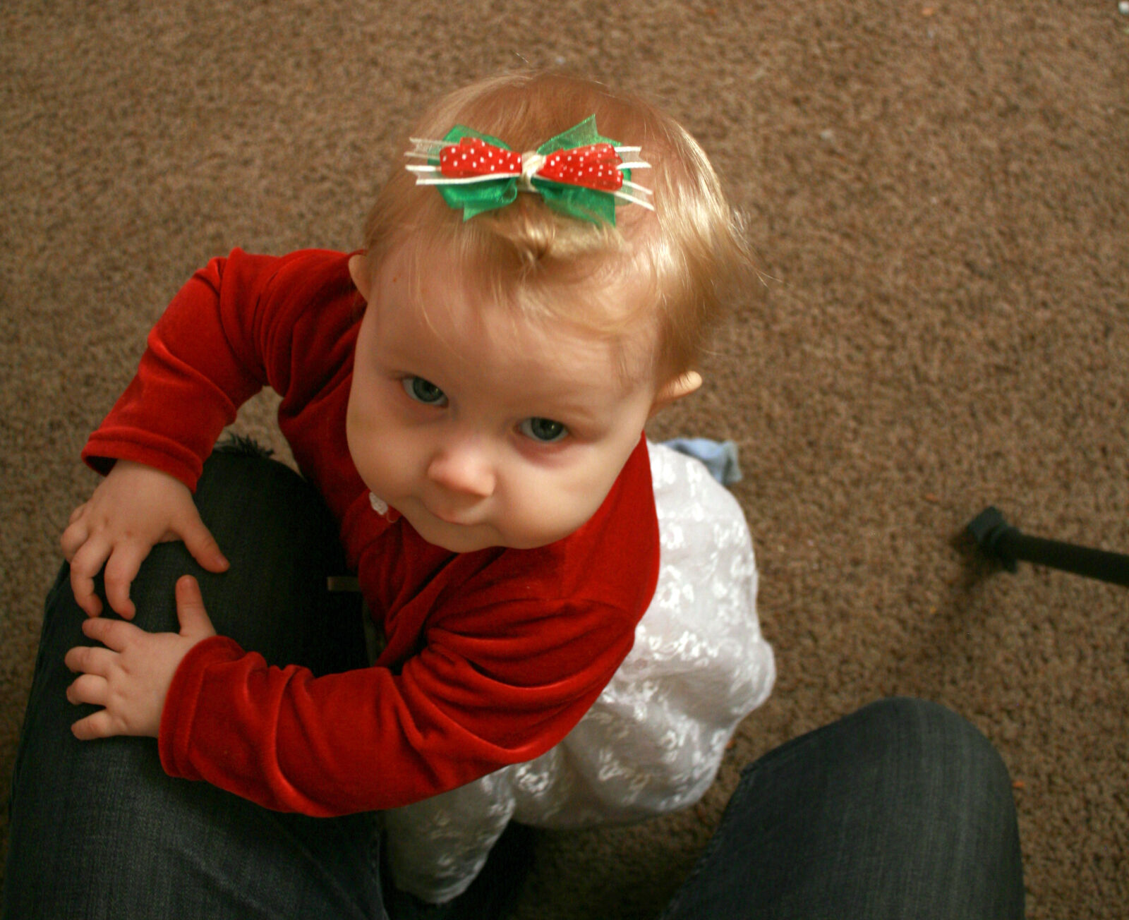Canon EOS 400D (EOS Digital Rebel XTi / EOS Kiss Digital X) sample photo. Baby, bow, child, christmas photography