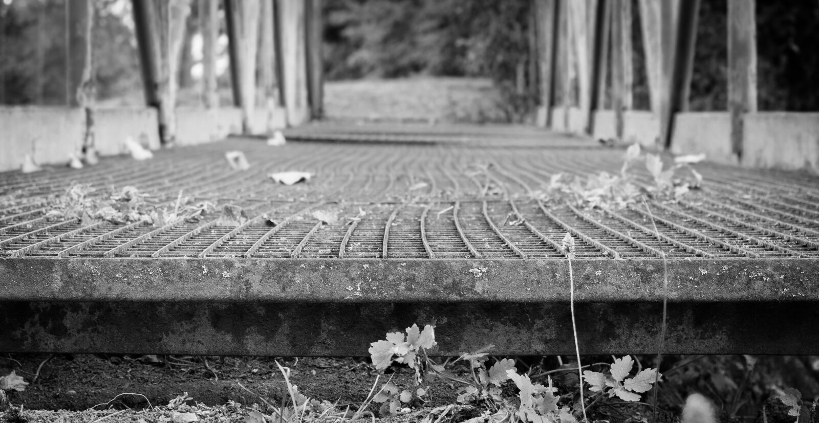 Canon EOS 700D (EOS Rebel T5i / EOS Kiss X7i) + Canon EF 50mm F1.8 STM sample photo. Bridge, path, railing photography