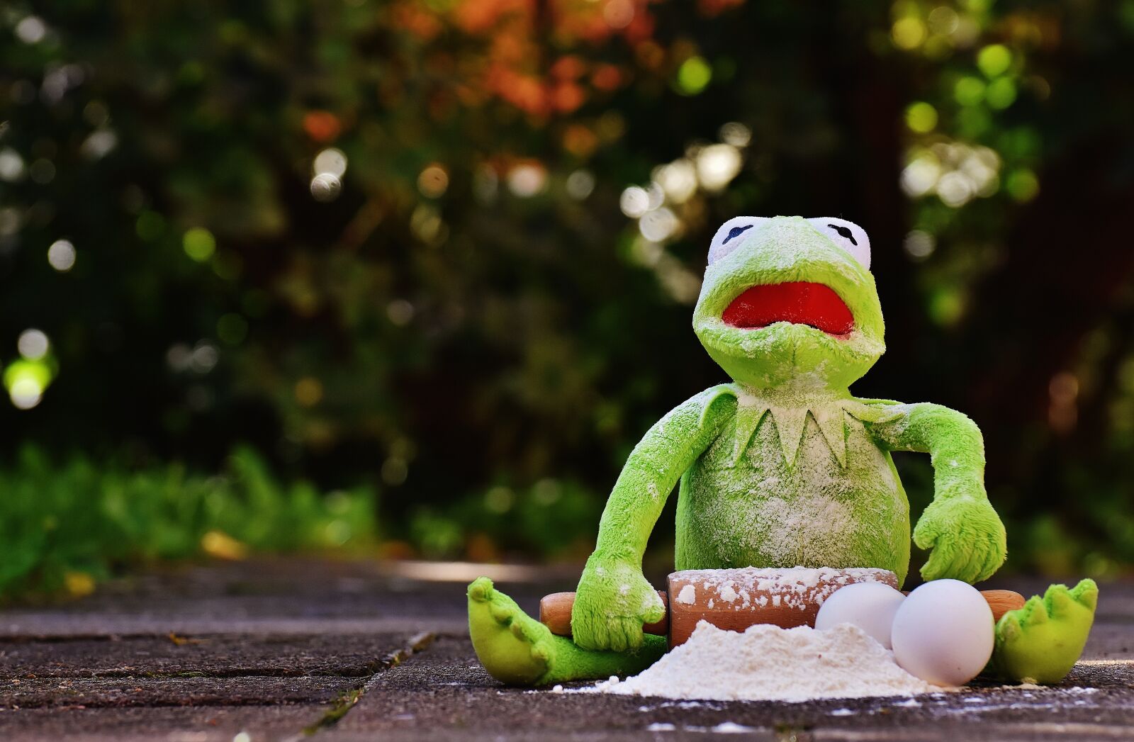 Nikon D7200 sample photo. Kermit, bake, rolling pin photography