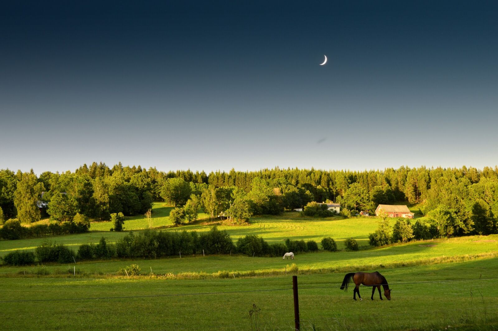 Nikon D3200 sample photo. Summer, sunset, moon photography