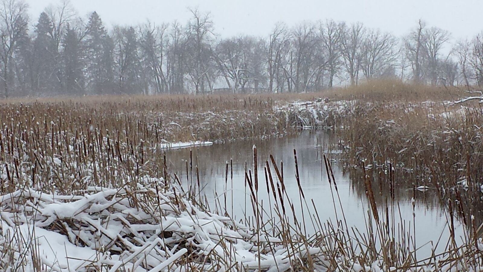 Samsung Galaxy S4 sample photo. Winter, river, snow photography