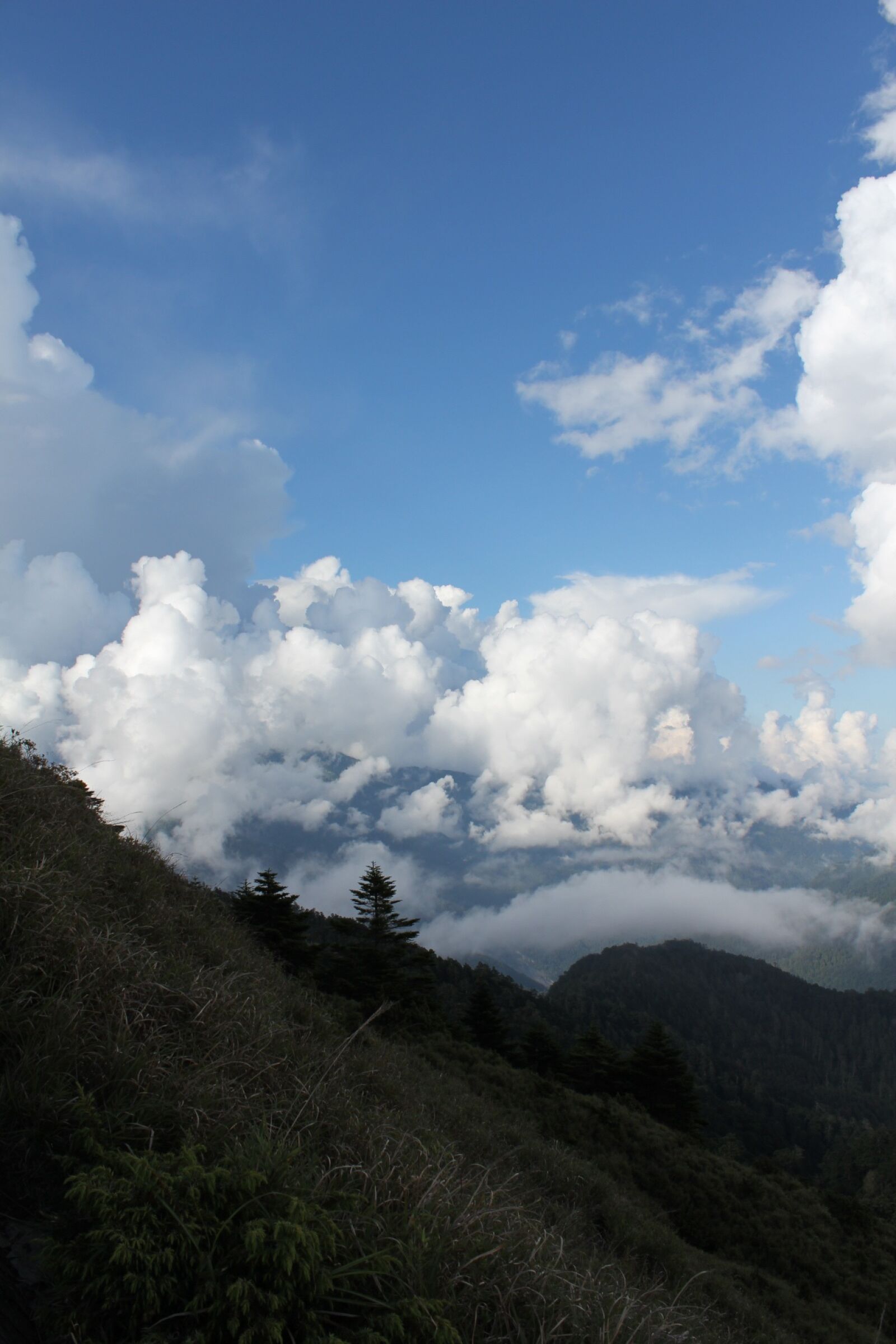 Canon EOS 600D (Rebel EOS T3i / EOS Kiss X5) sample photo. Alpine, baiyun, taiwan photography