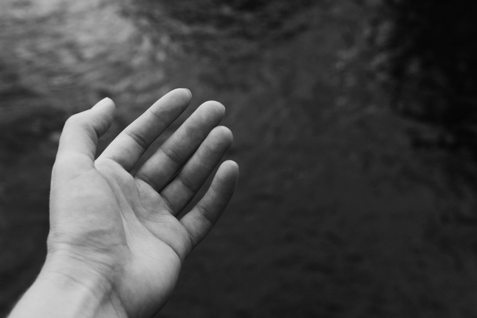 Canon EOS 700D (EOS Rebel T5i / EOS Kiss X7i) sample photo. Hand, palm, woman photography