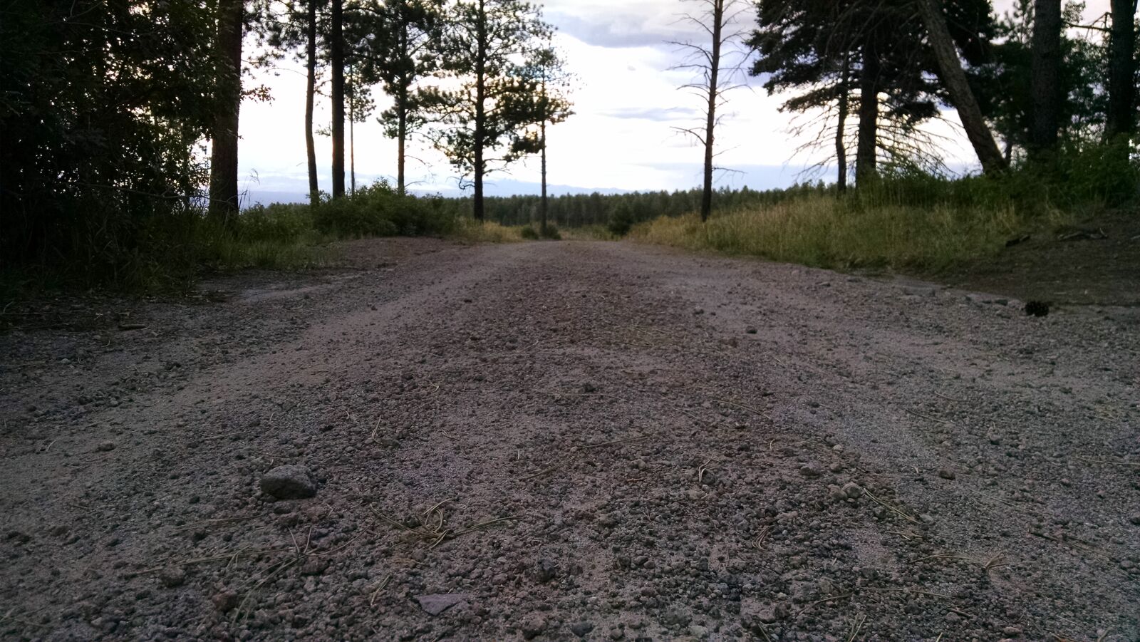 Motorola XT1080 sample photo