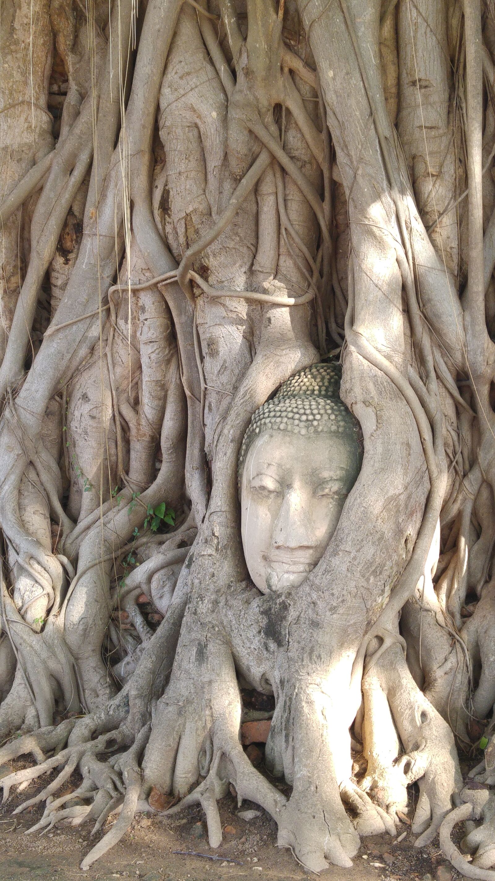 LG G4 sample photo. Ayuthaya, buddha, head photography