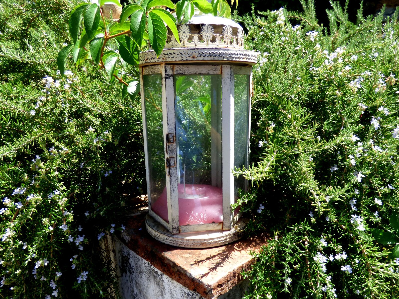 Panasonic DMC-FZ72 sample photo. Lantern, glass, candle photography