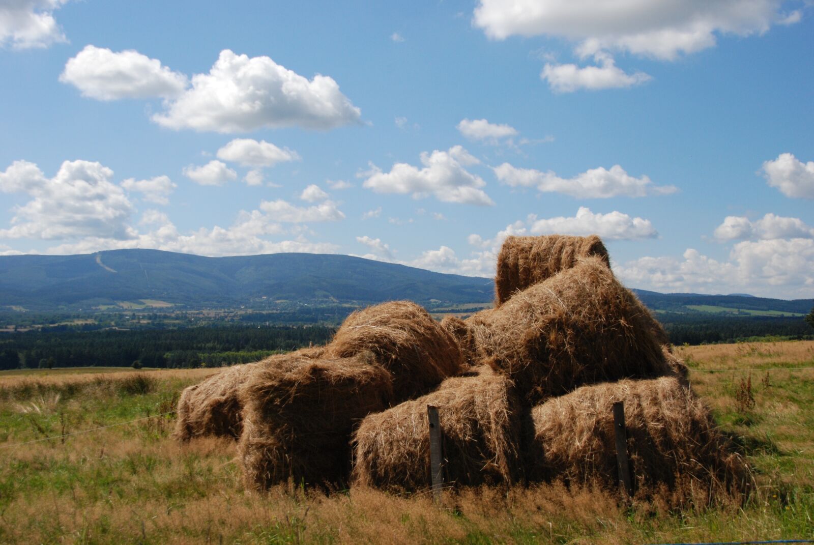 Nikon D80 sample photo. Hay, hay bale, harvest photography