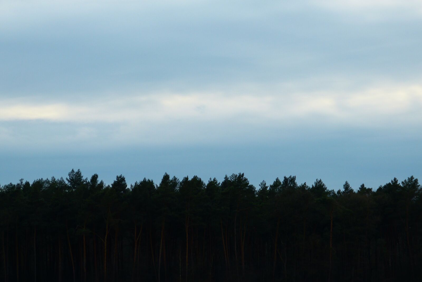 Panasonic Lumix DMC-FZ150 sample photo. Sky, clouds, evening photography