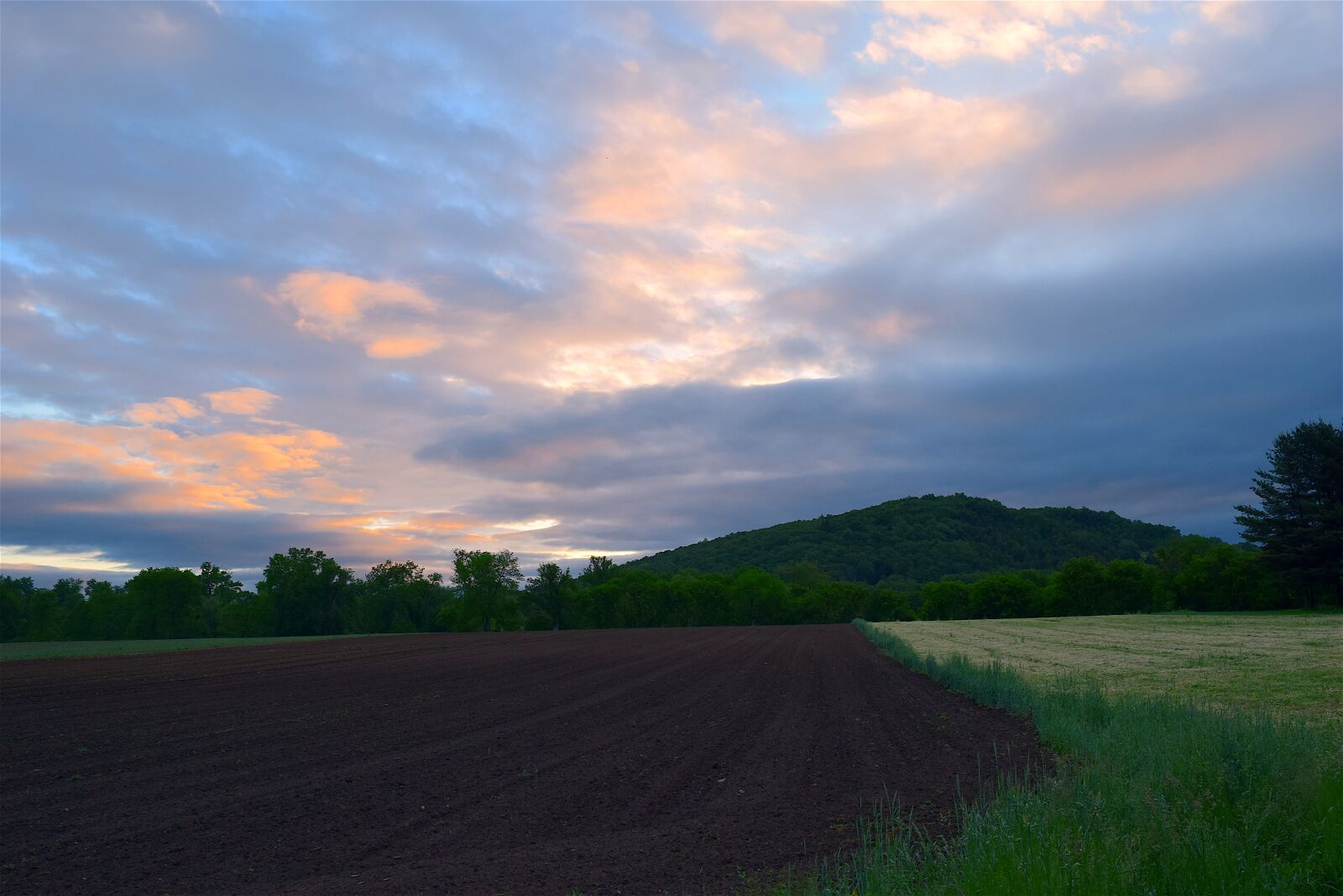 Nikon D3300 sample photo. Field, sunrise, farm photography