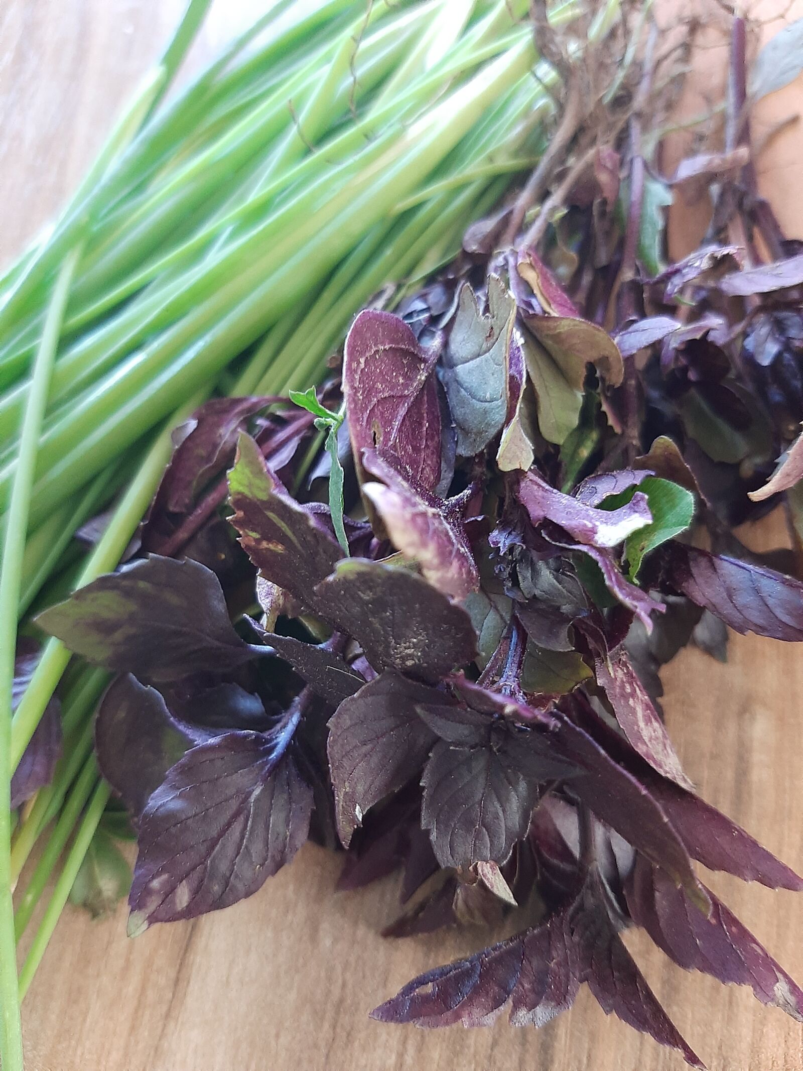Samsung SM-A307FN sample photo. Basil, onion, greens photography