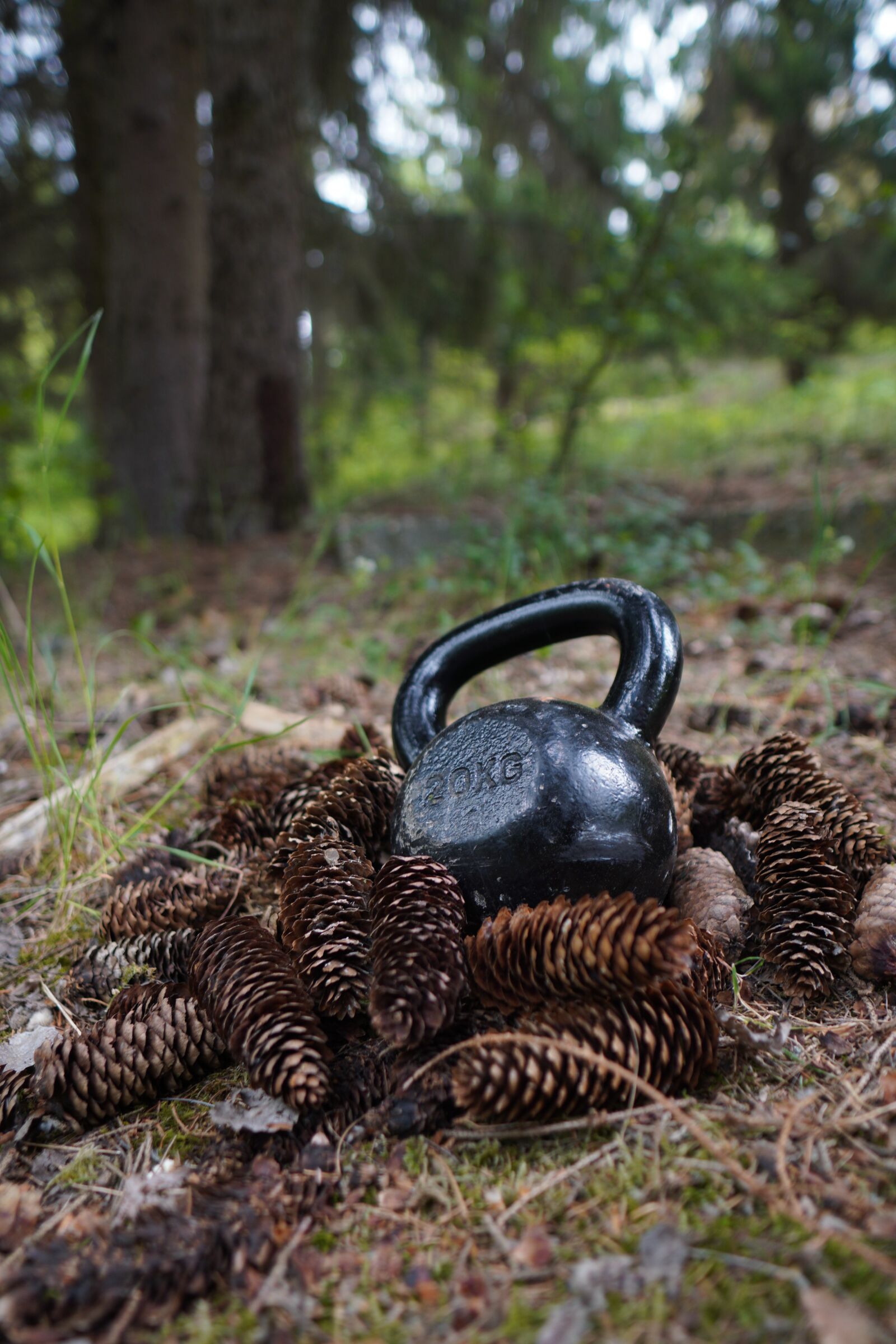 Sony a6400 + Sigma 16mm F1.4 DC DN | C sample photo. Carnivore, kettlebell, trening photography