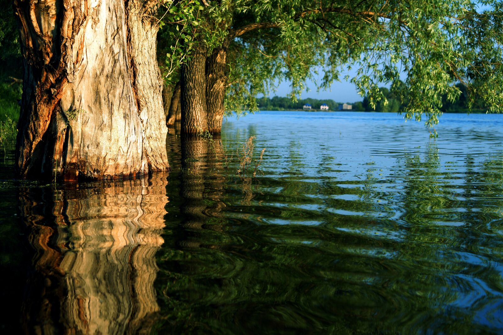 Sony Alpha DSLR-A850 sample photo. Water, reflection in the photography