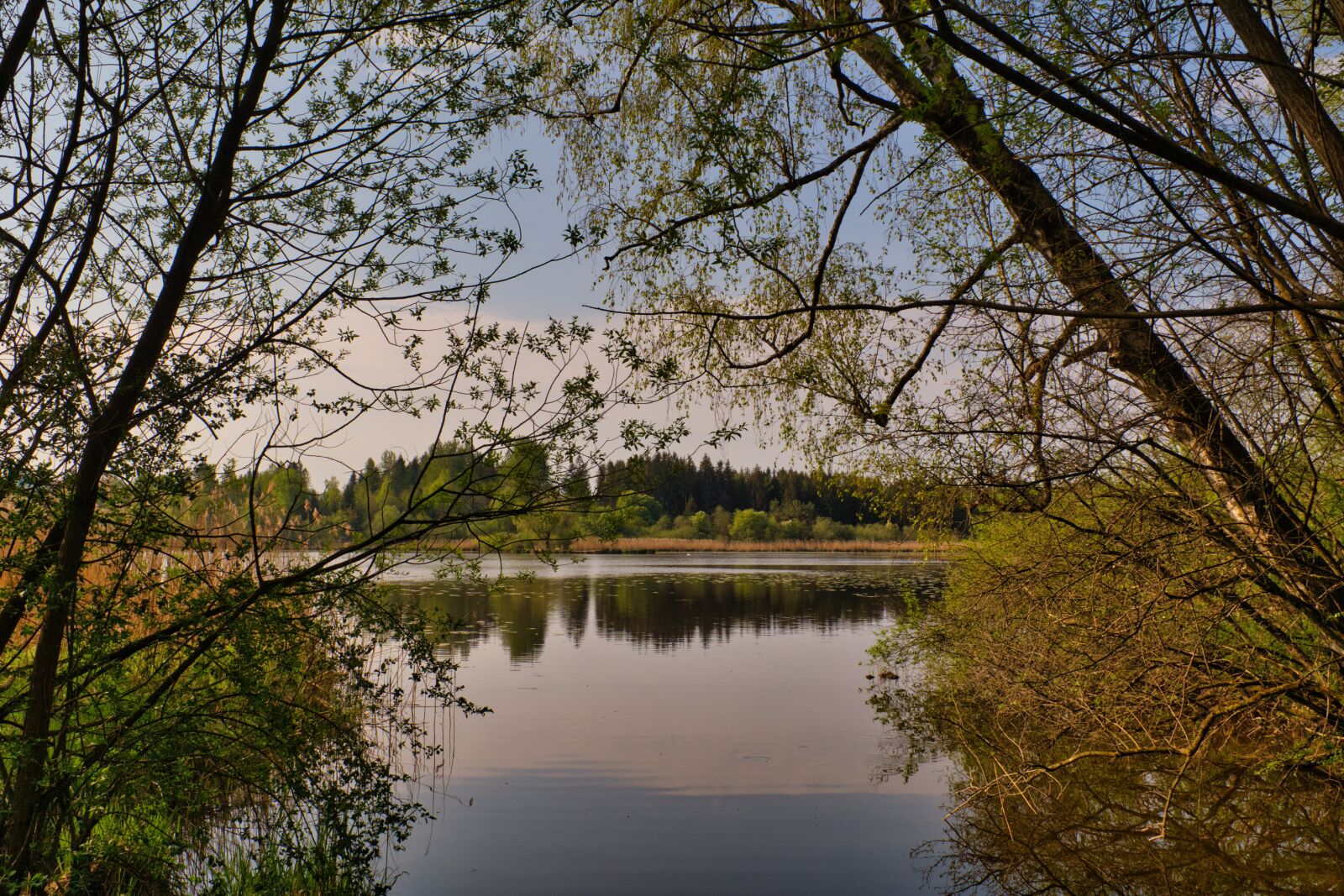 Nikon D7500 sample photo. Spring, water, lake photography