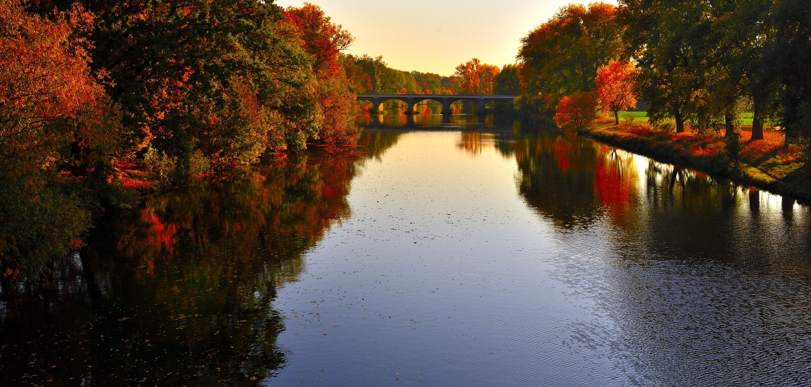 Nikon D610 sample photo. Trees, river, water photography