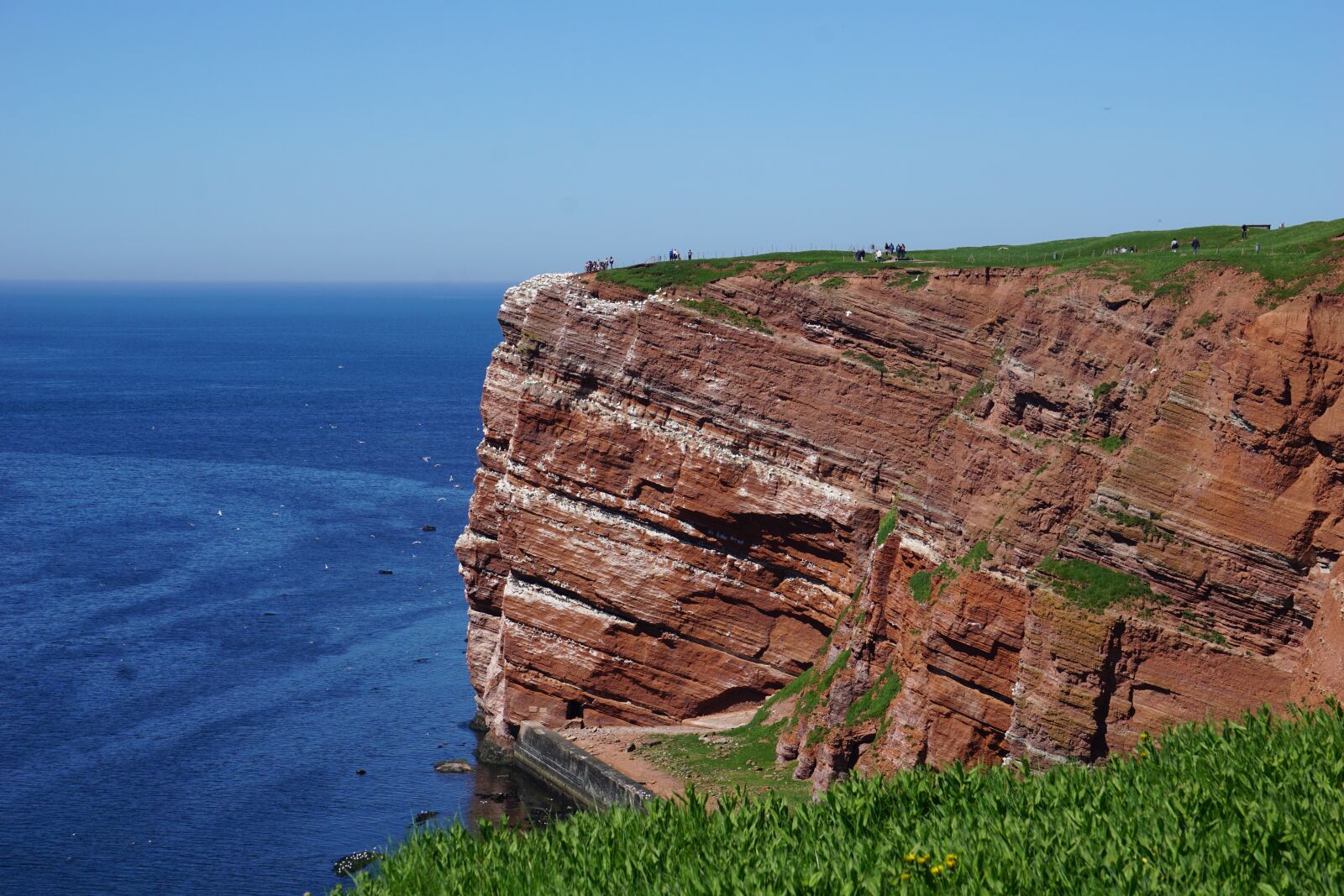 Sony a6000 sample photo. Helgoland, coast, cliffs photography